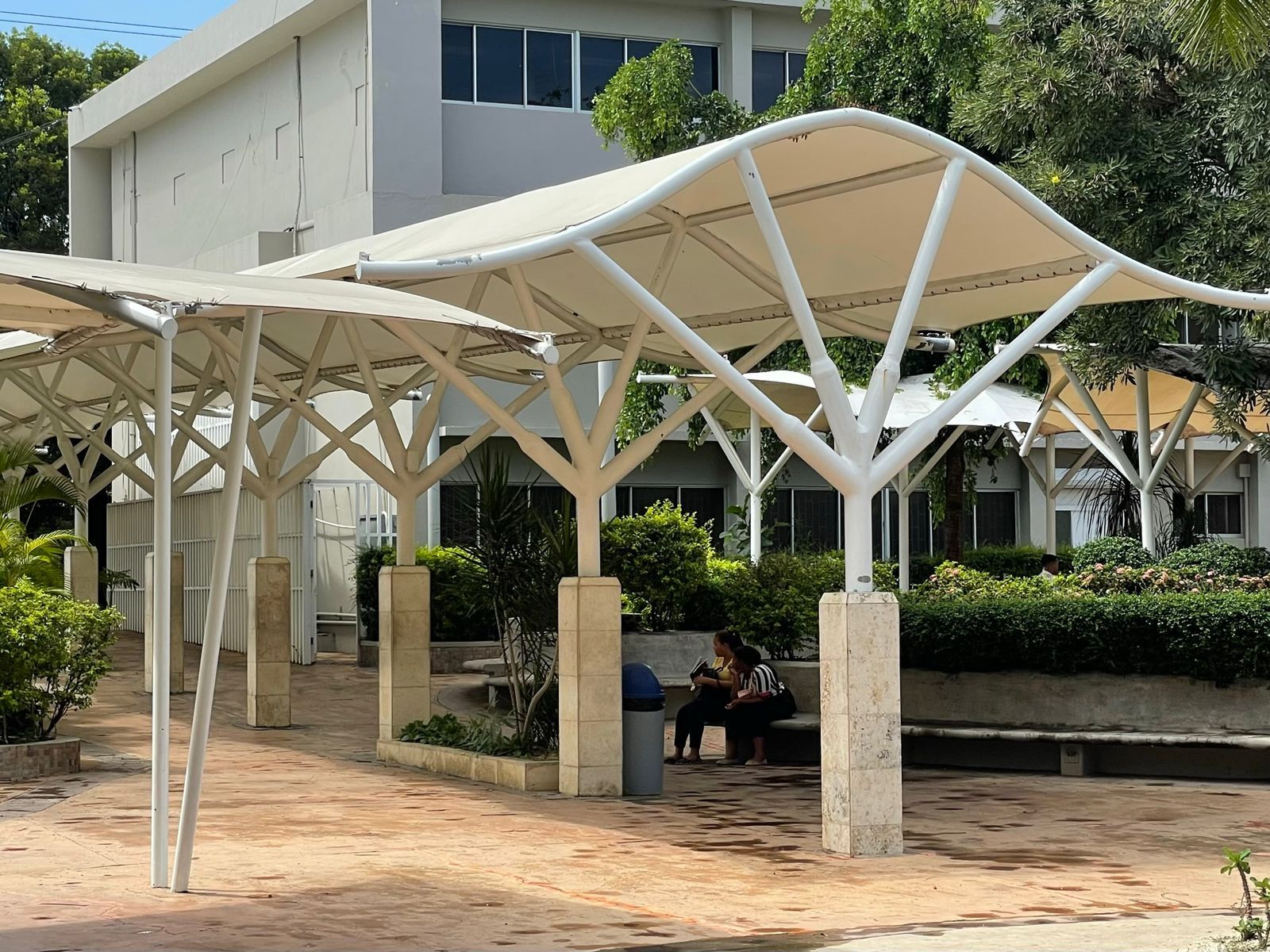 Velarias sobre columnas tipo árbol